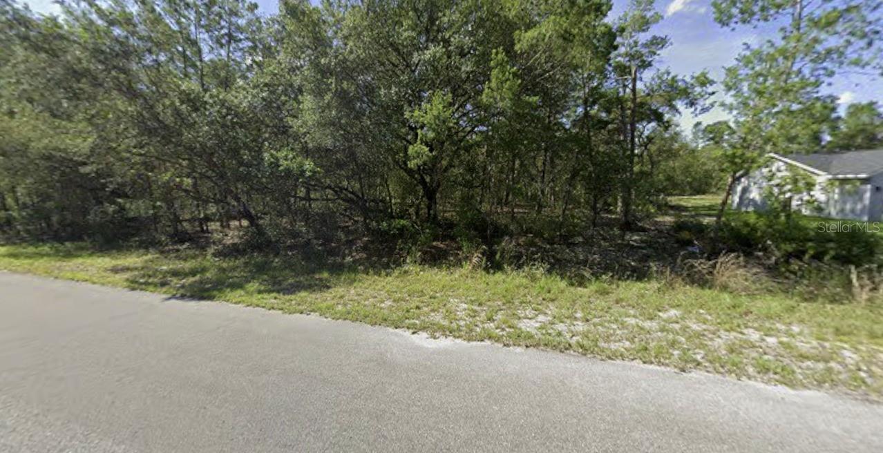 TBD FISHER WAY, OCKLAWAHA, FL, 32179