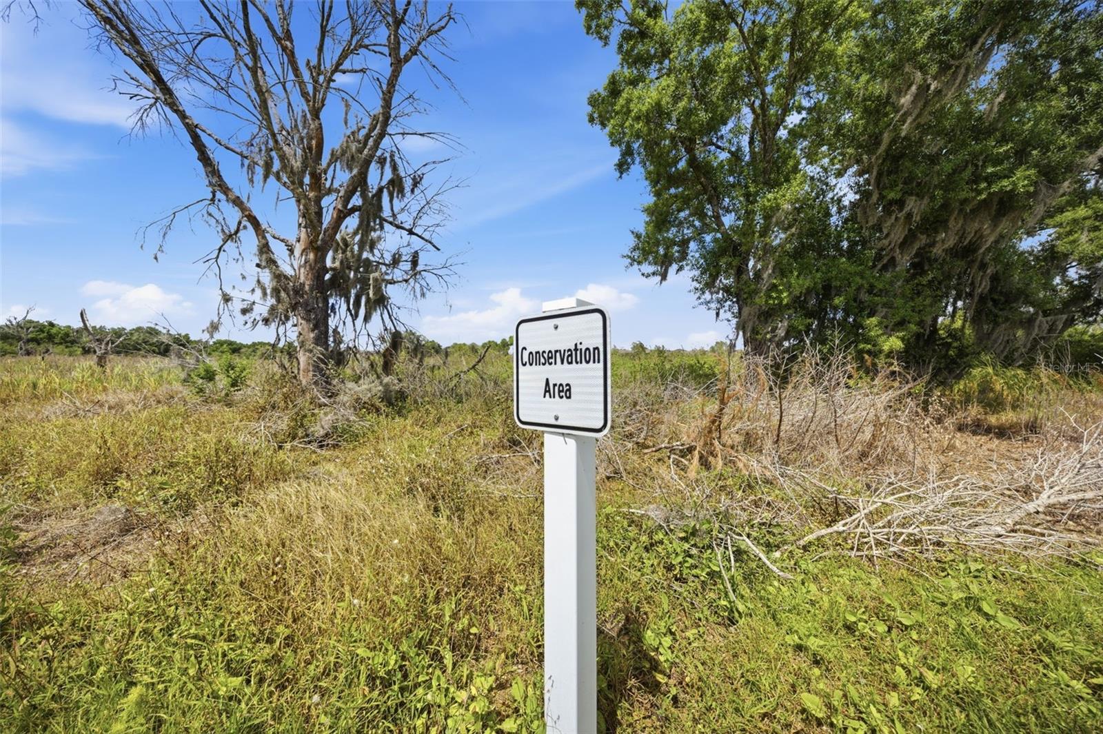 18026 FATTORIA TER, BRADENTON, FL, 34211