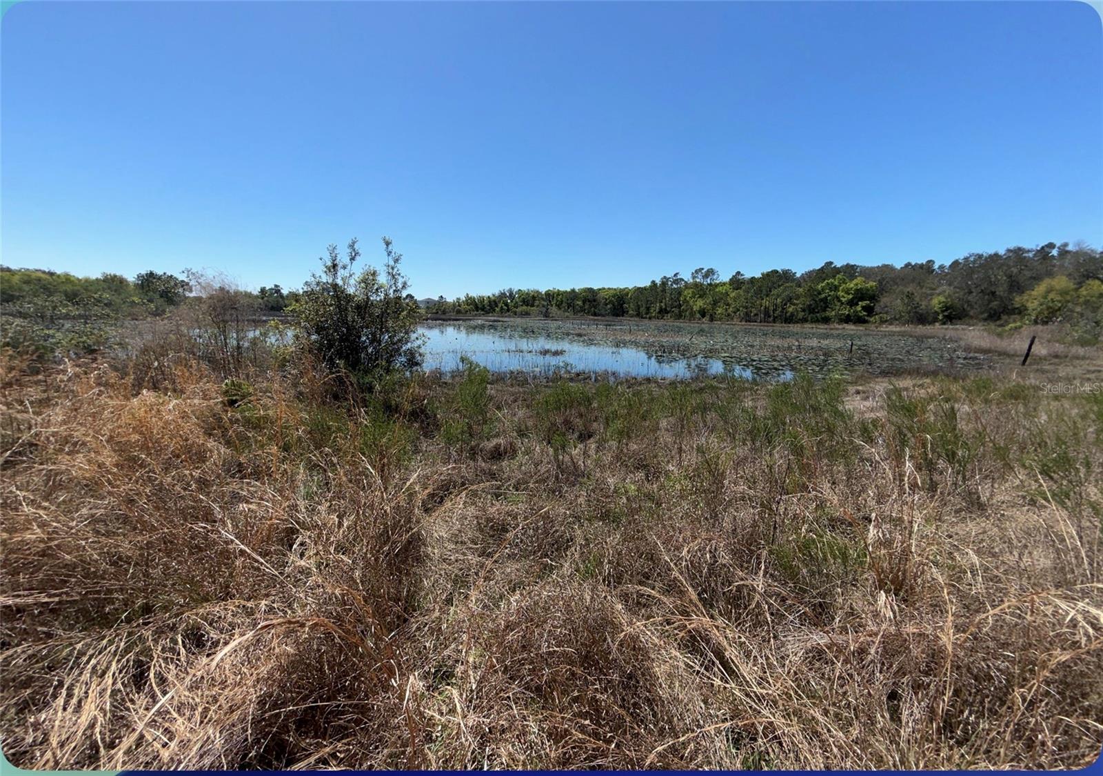 9844 POE ST, LEESBURG, FL, 34788