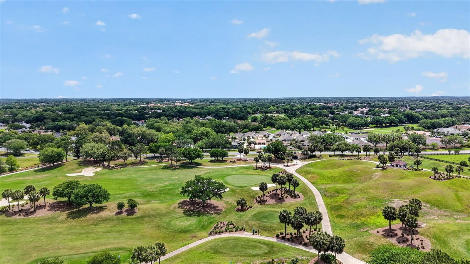 1028 SOLEDAD WAY, THE VILLAGES, FL, 32159