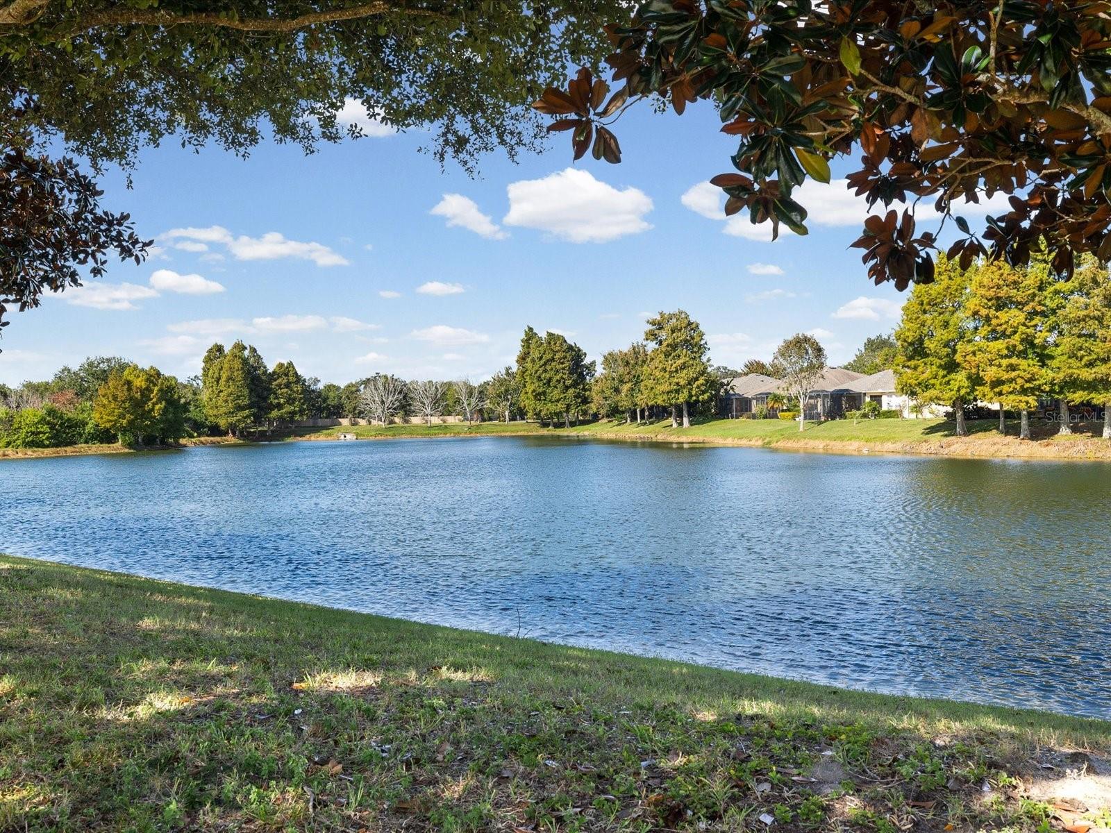 2126 PARROT FISH DR, HOLIDAY, FL, 34691