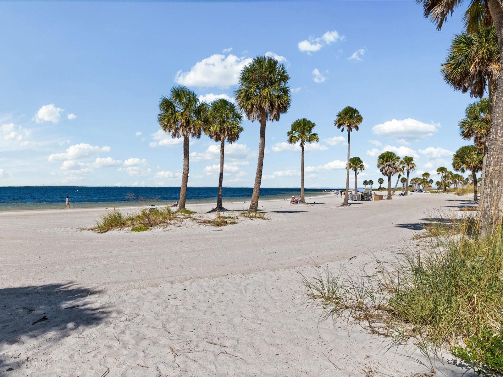 2126 PARROT FISH DR, HOLIDAY, FL, 34691