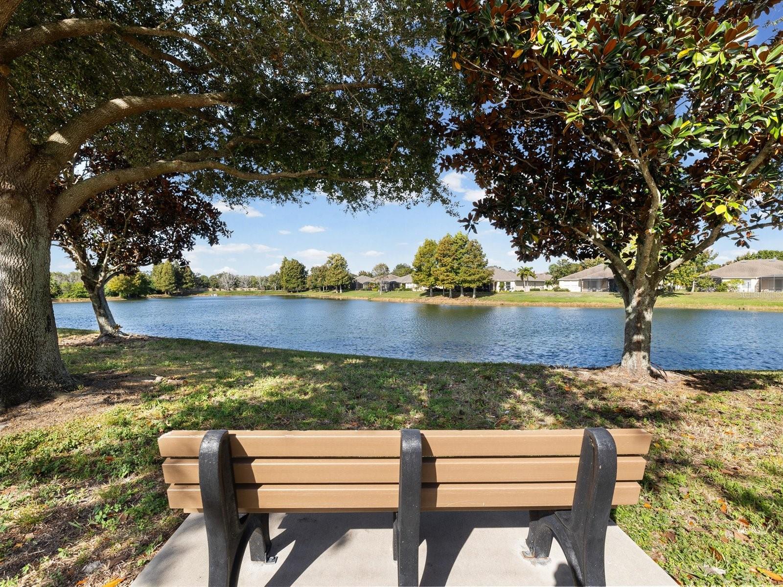 2126 PARROT FISH DR, HOLIDAY, FL, 34691