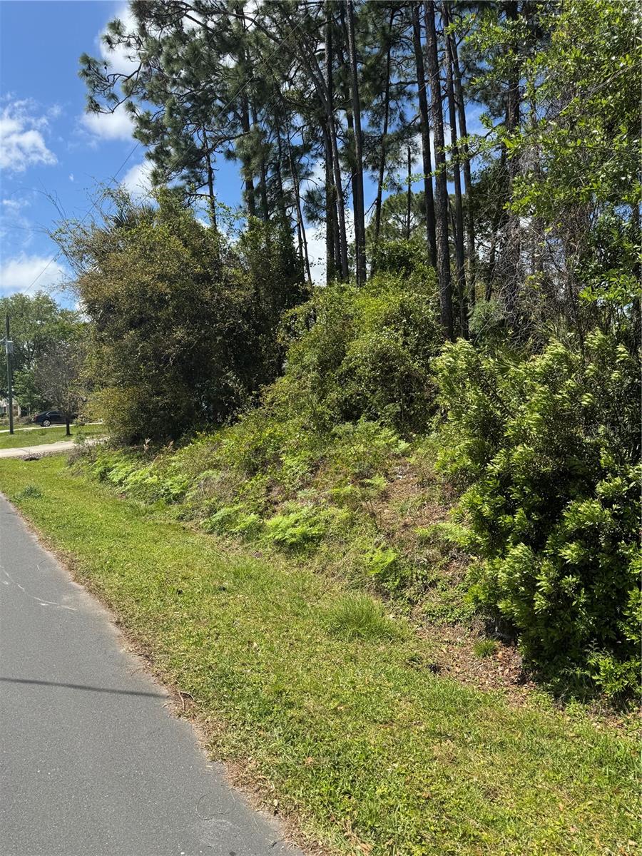 19 BASSETT LN, PALM COAST, FL, 32137