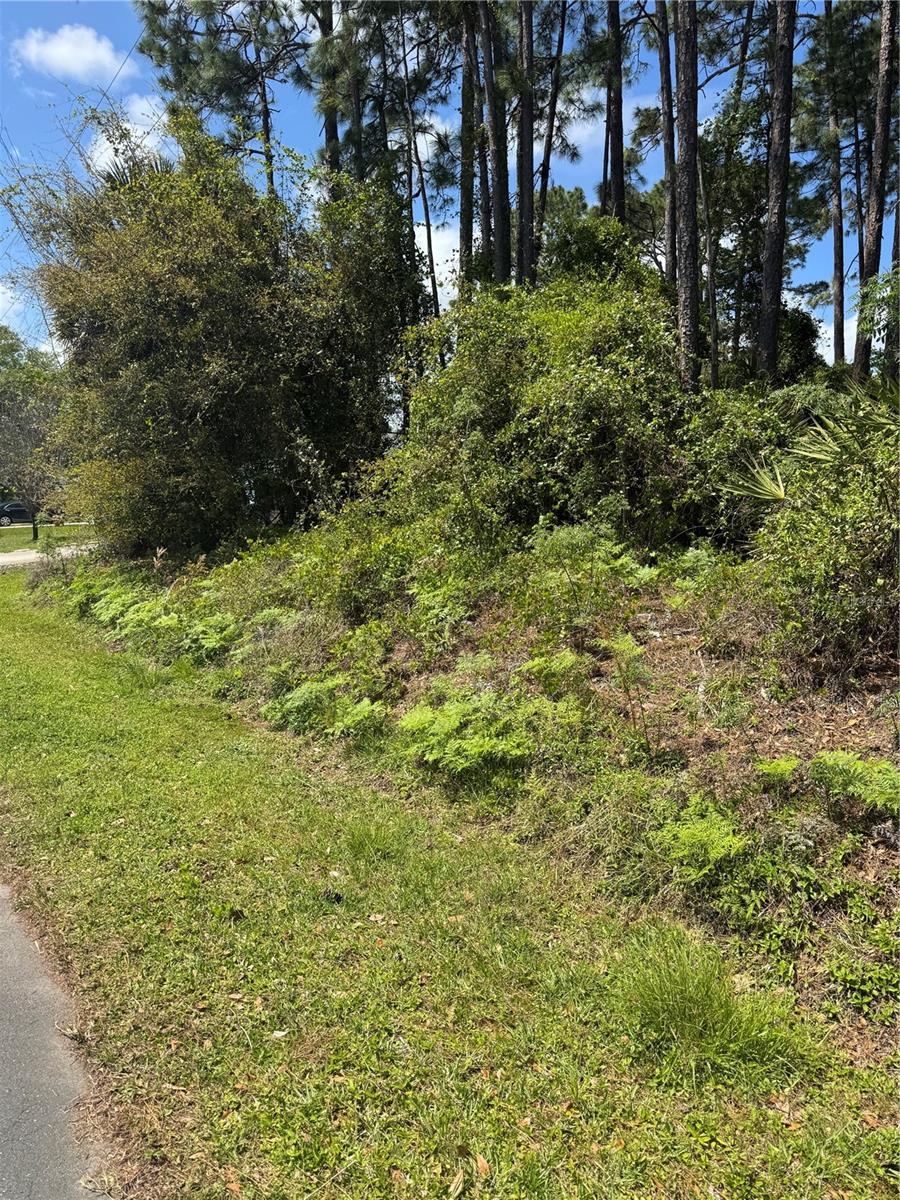 19 BASSETT LN, PALM COAST, FL, 32137