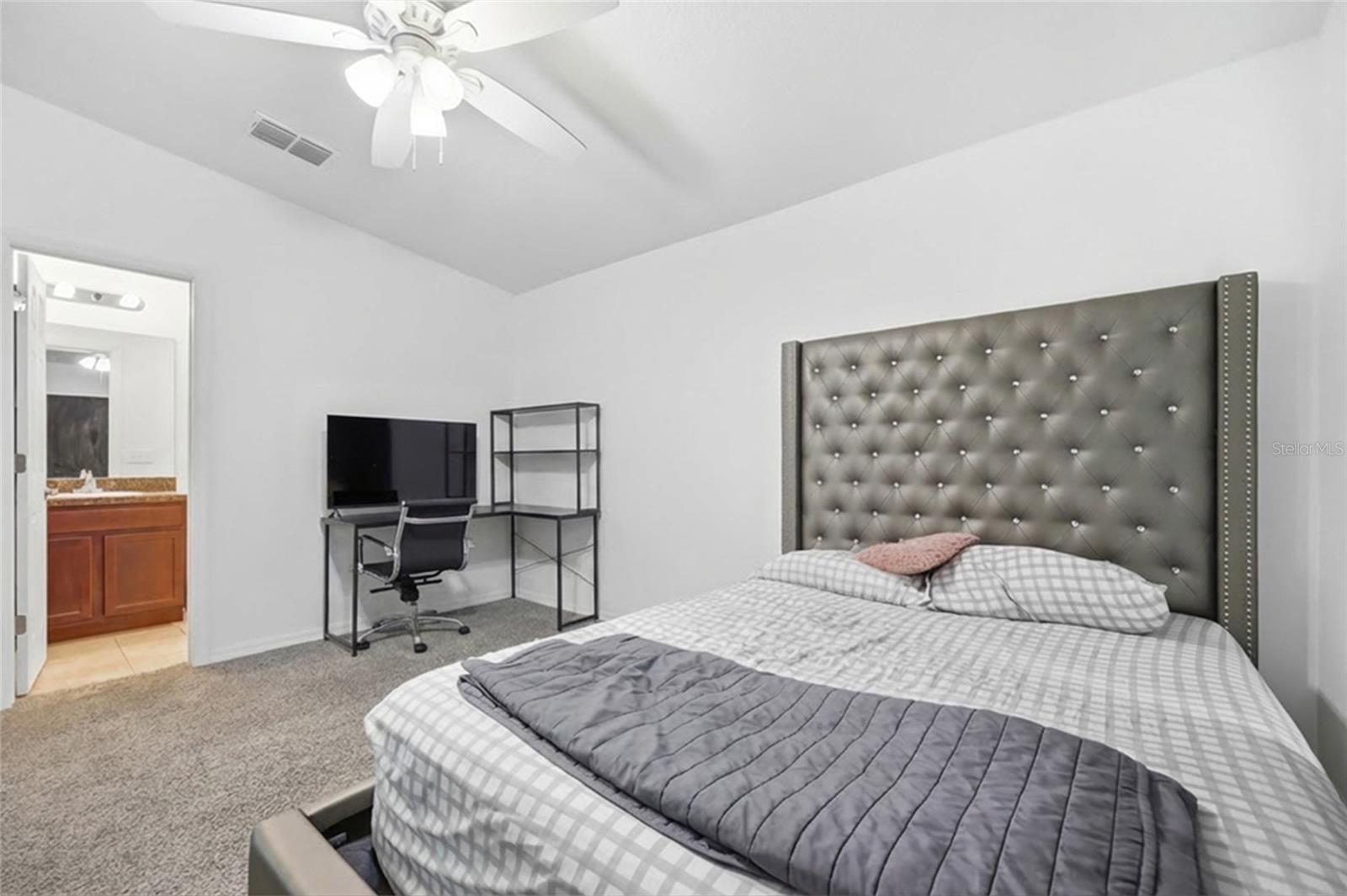 3640 GRUBBS ST, MOUNT DORA, FL, 32757