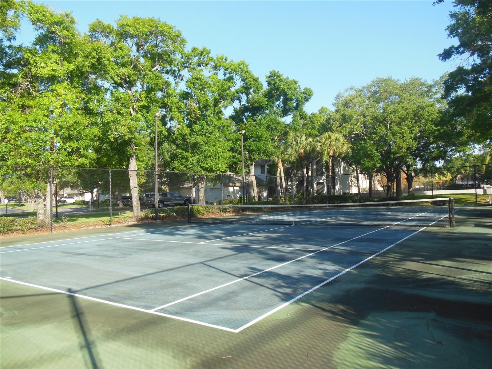 3053 LANDMARK BLVD #1107, PALM HARBOR, FL, 34684