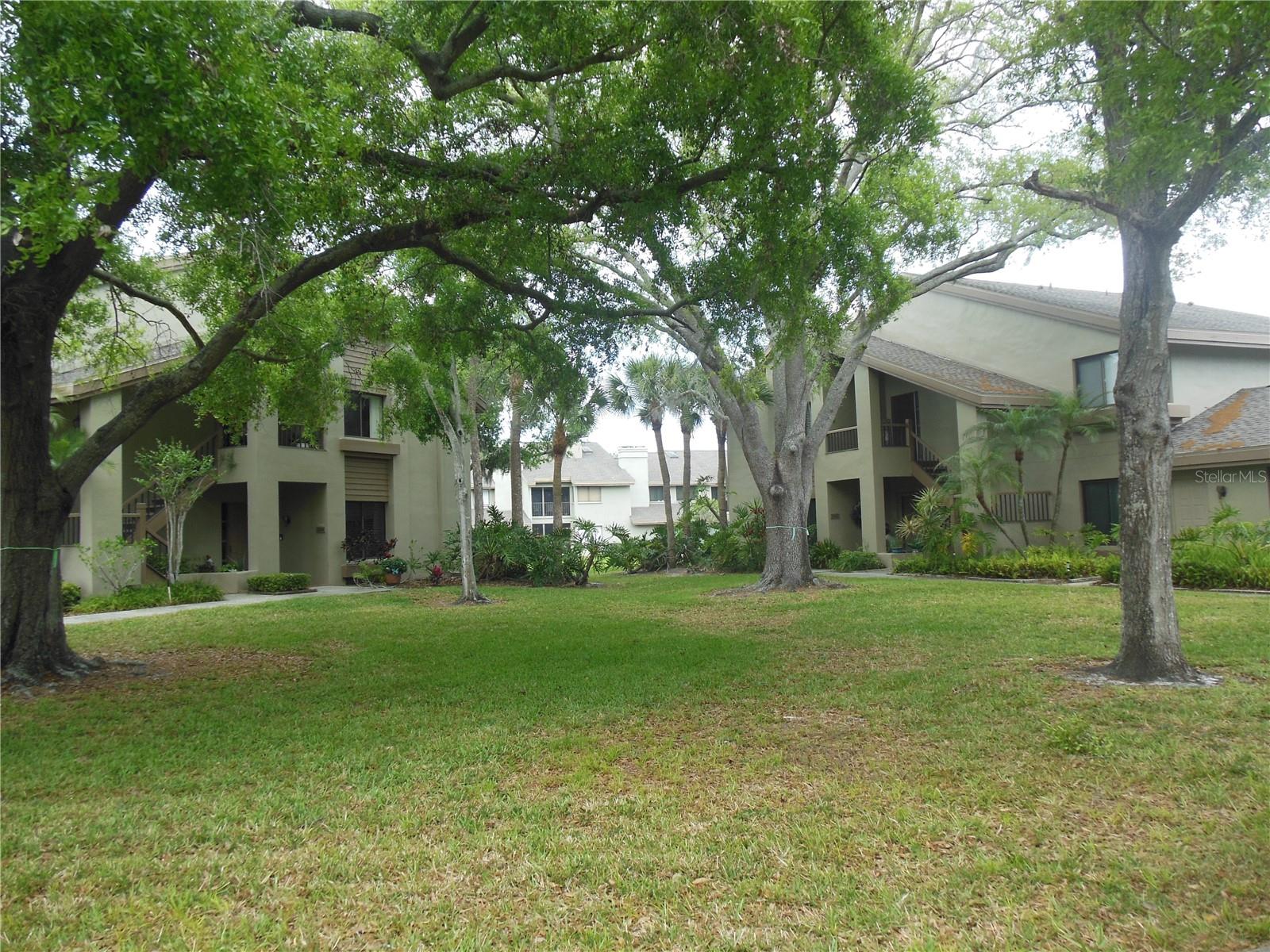 3053 LANDMARK BLVD #1107, PALM HARBOR, FL, 34684