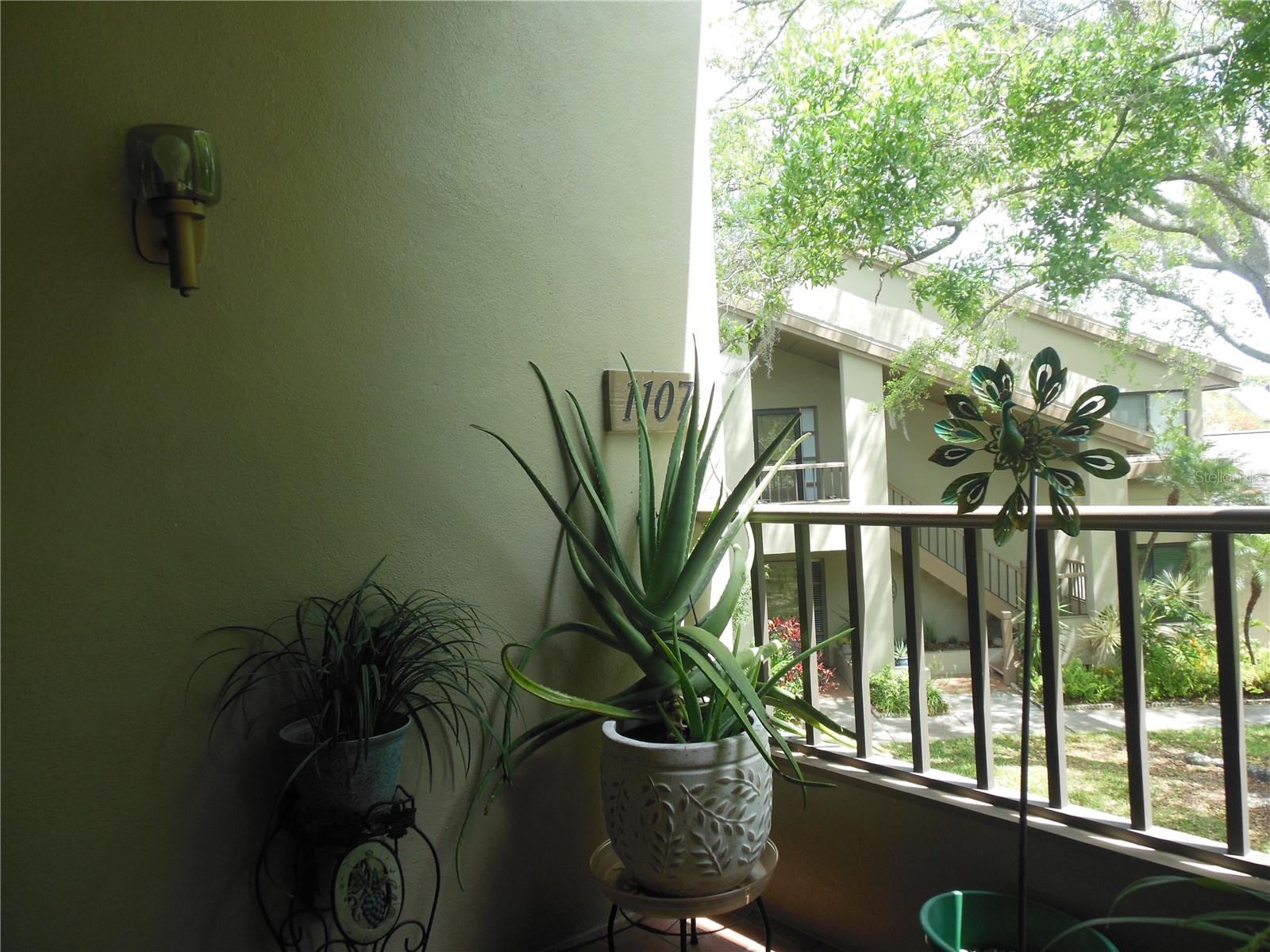 3053 LANDMARK BLVD #1107, PALM HARBOR, FL, 34684