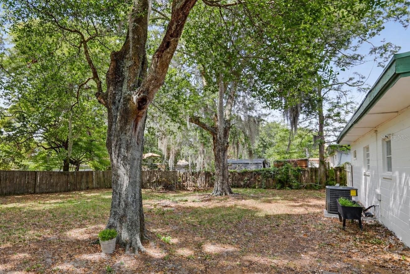 5214 CORTEZ DR, ORLANDO, FL, 32808