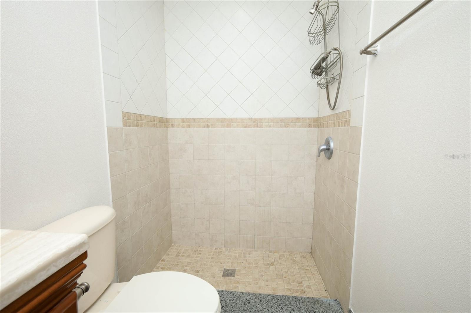 420 WHITEWING CIR, MINNEOLA, FL, 34715