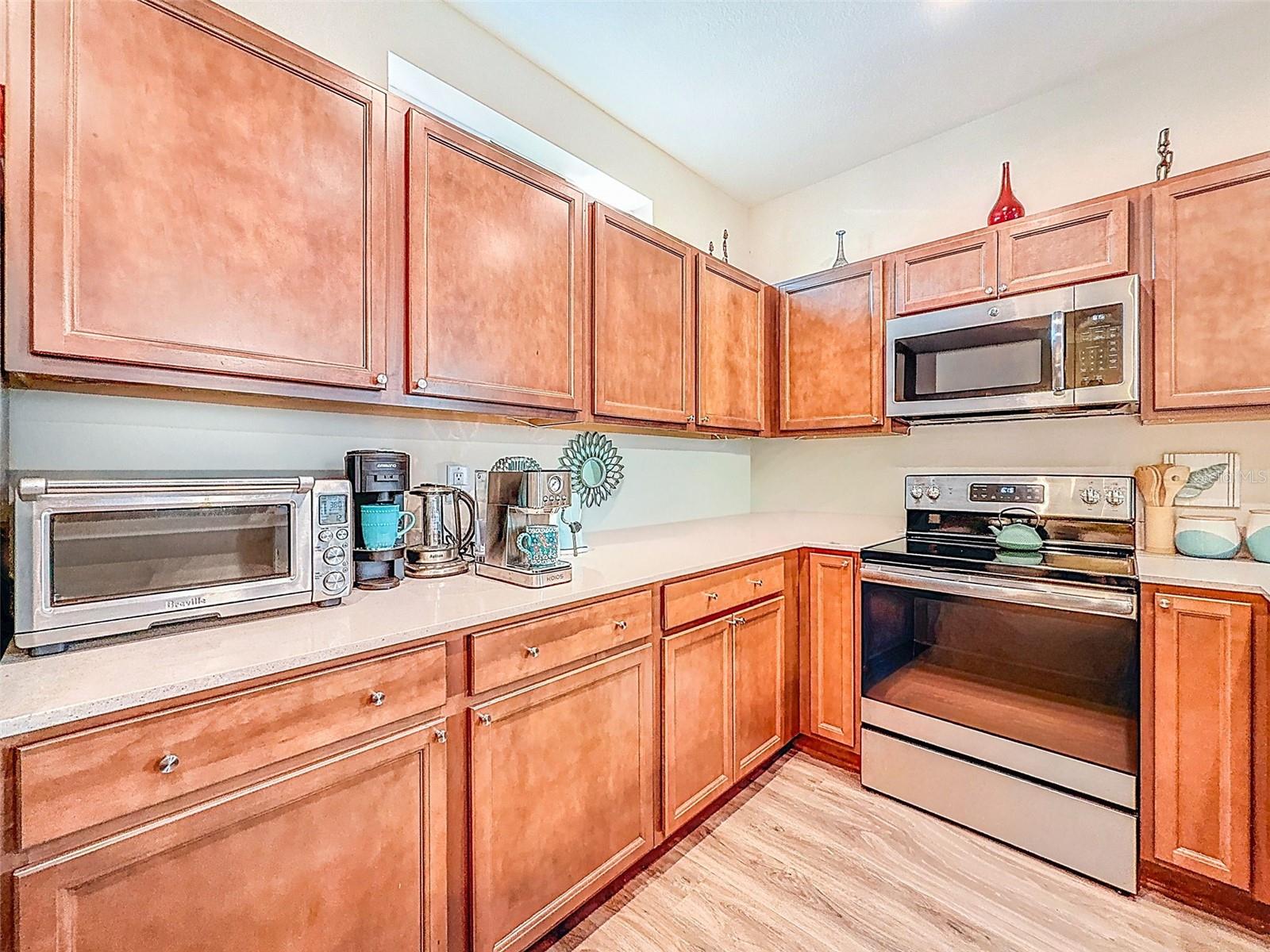 1132 MARTIN LUTHER KING JR AVE, DUNEDIN, FL, 34698