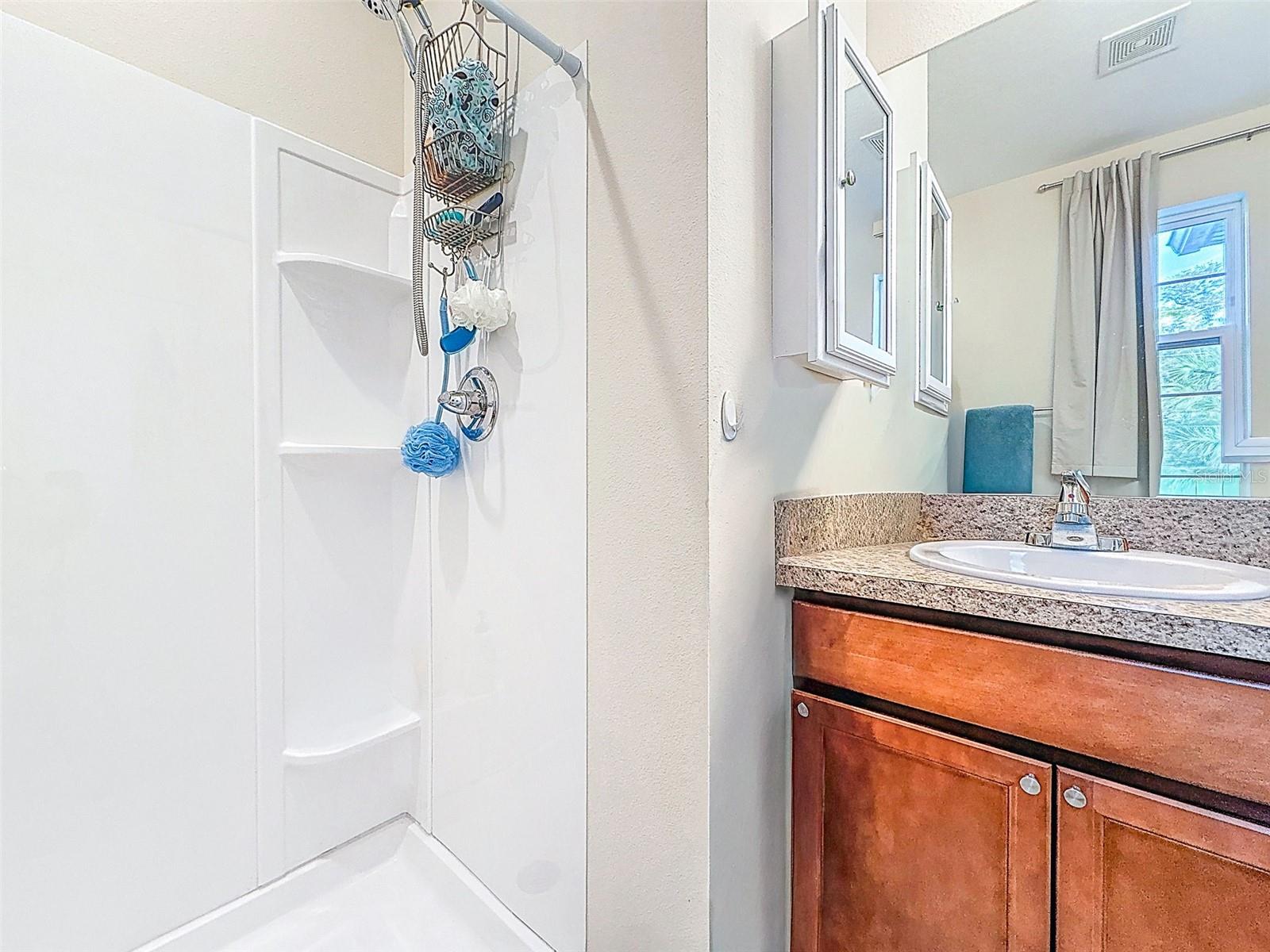 1132 MARTIN LUTHER KING JR AVE, DUNEDIN, FL, 34698