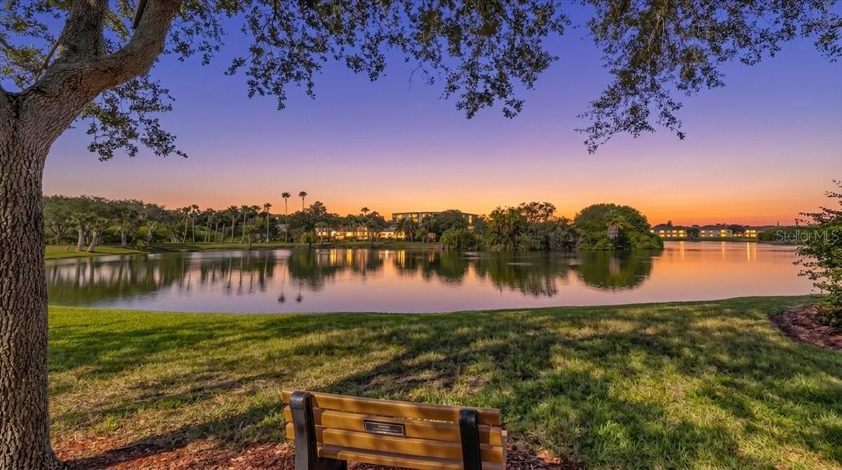 6425 SHORELINE DR #10503, ST PETERSBURG, FL, 33708