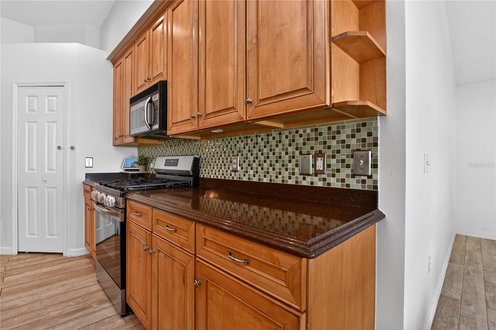 388 SWEETWATER SPRINGS ST, DEBARY, FL, 32713