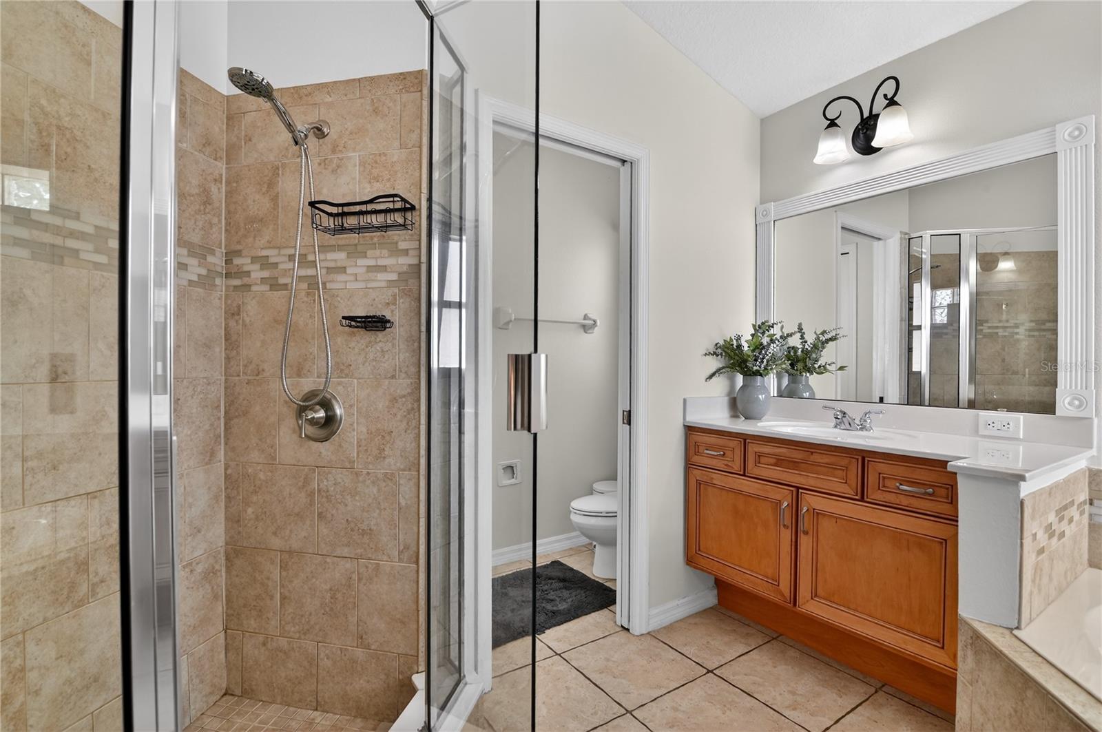 388 SWEETWATER SPRINGS ST, DEBARY, FL, 32713