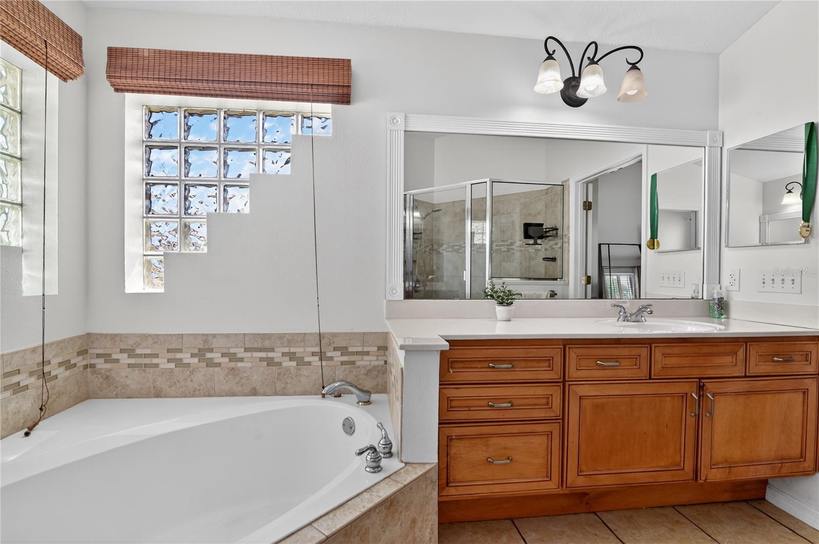 388 SWEETWATER SPRINGS ST, DEBARY, FL, 32713