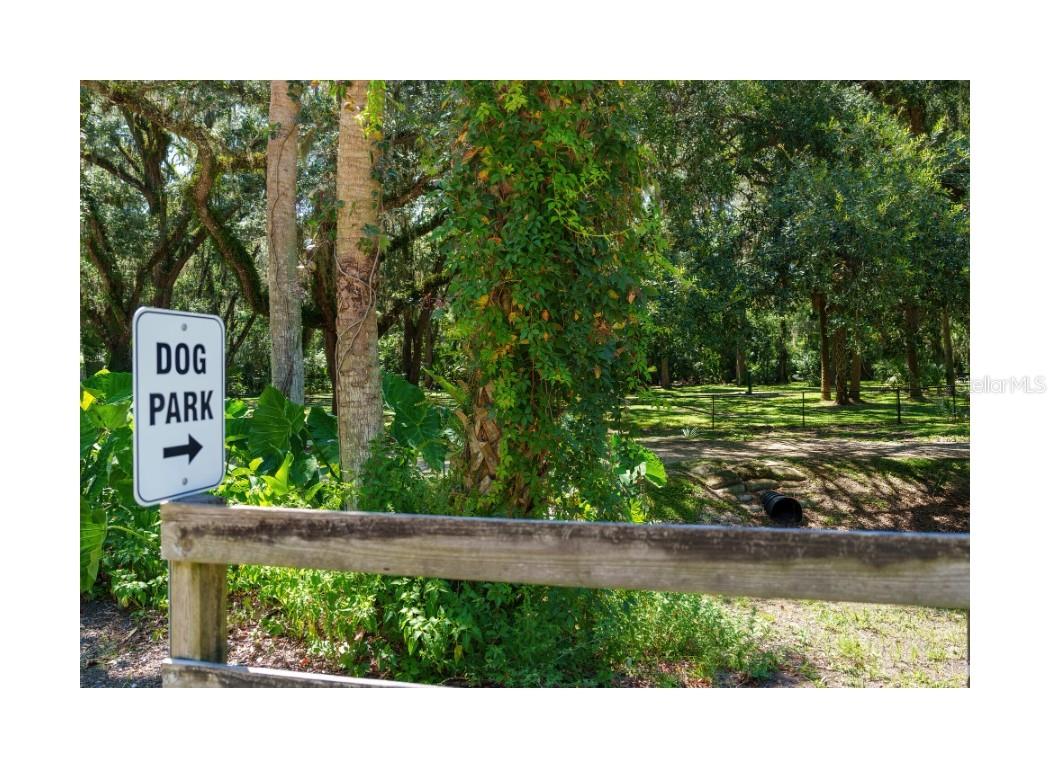 388 SWEETWATER SPRINGS ST, DEBARY, FL, 32713