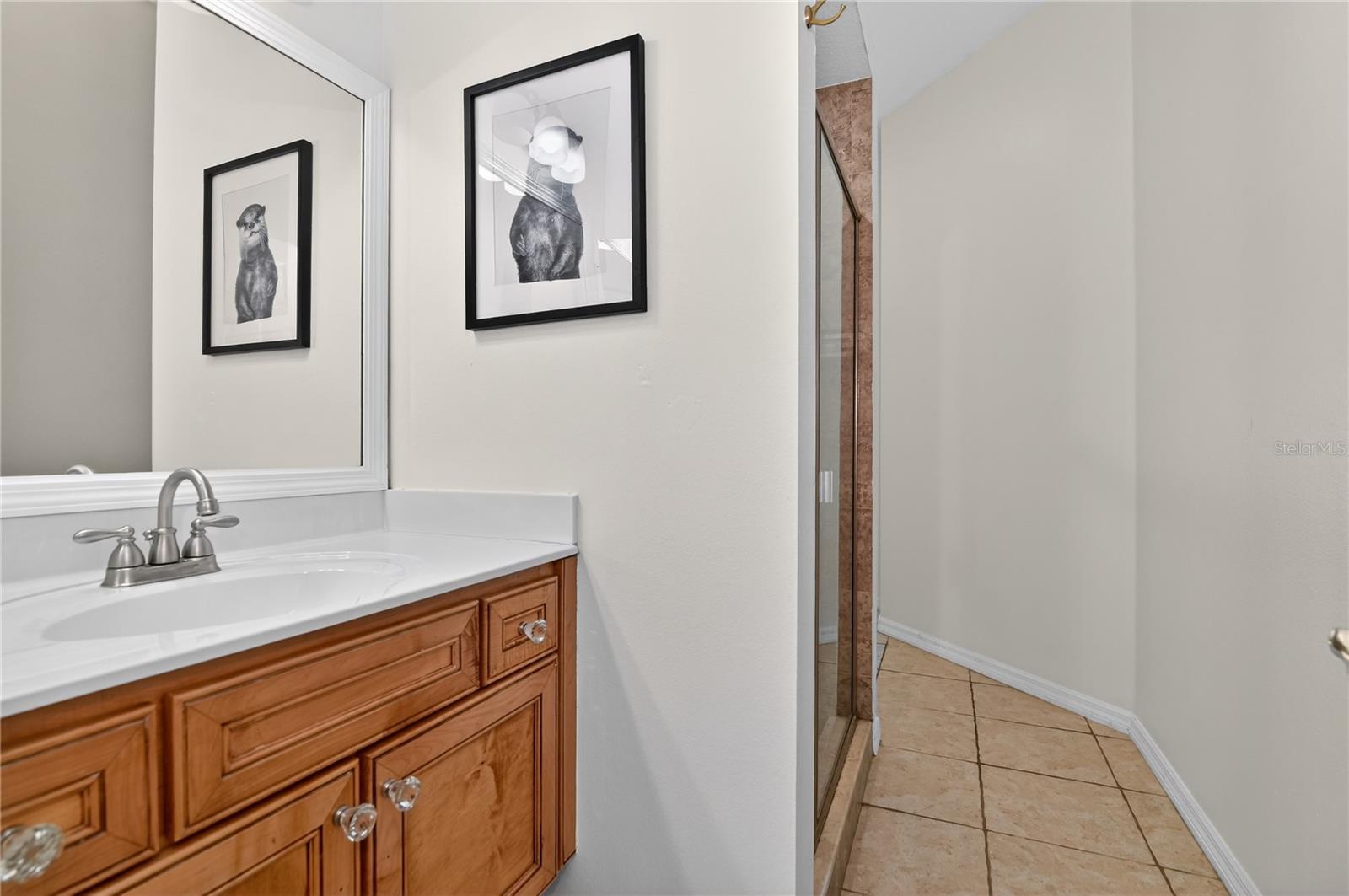 388 SWEETWATER SPRINGS ST, DEBARY, FL, 32713