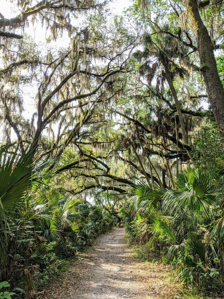 388 SWEETWATER SPRINGS ST, DEBARY, FL, 32713