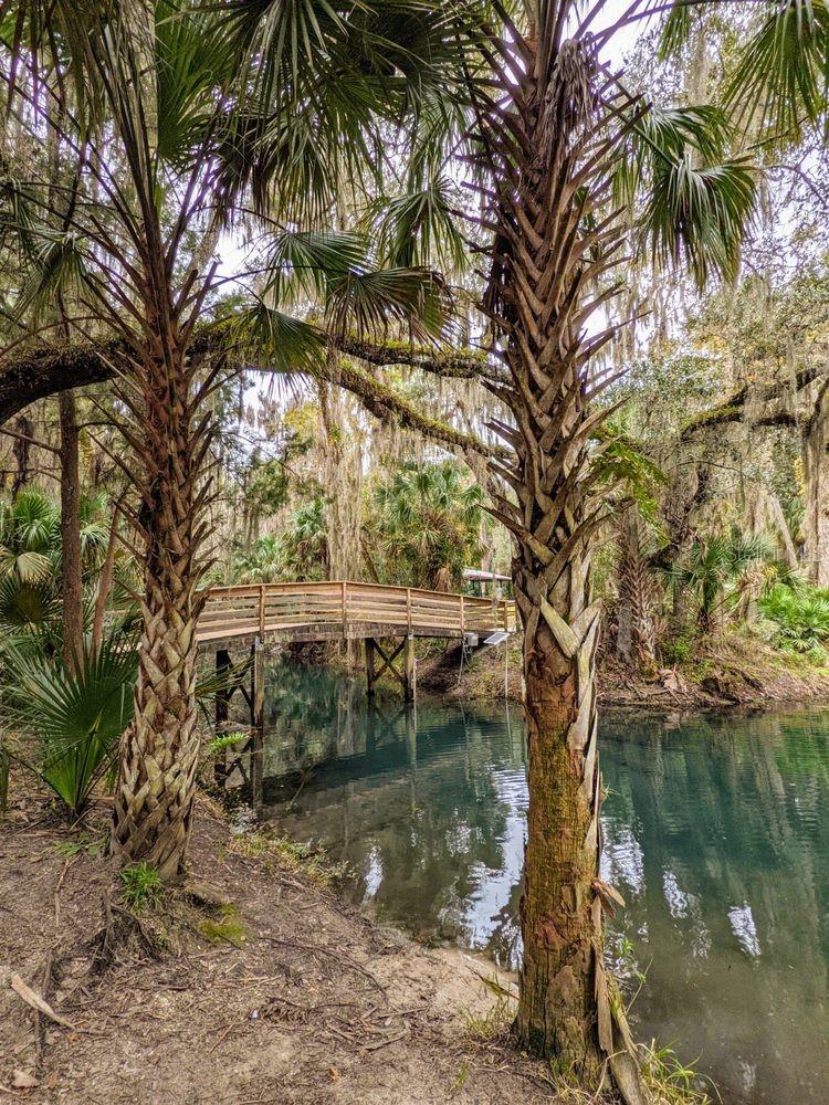 388 SWEETWATER SPRINGS ST, DEBARY, FL, 32713