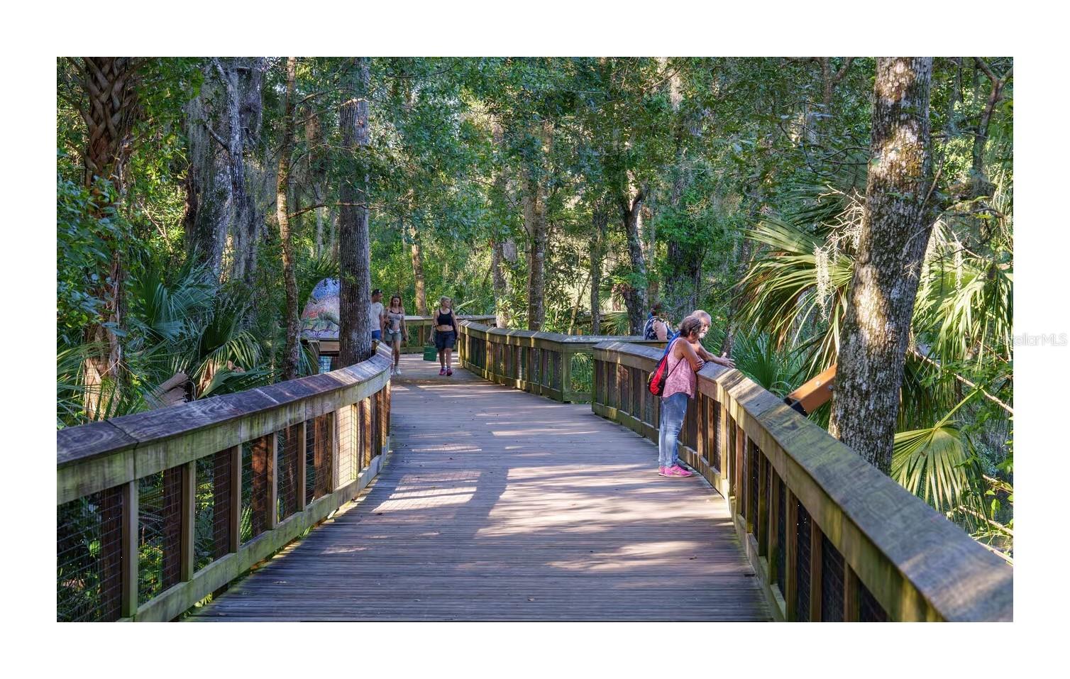 388 SWEETWATER SPRINGS ST, DEBARY, FL, 32713