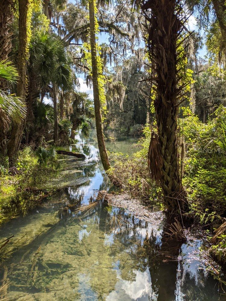 388 SWEETWATER SPRINGS ST, DEBARY, FL, 32713