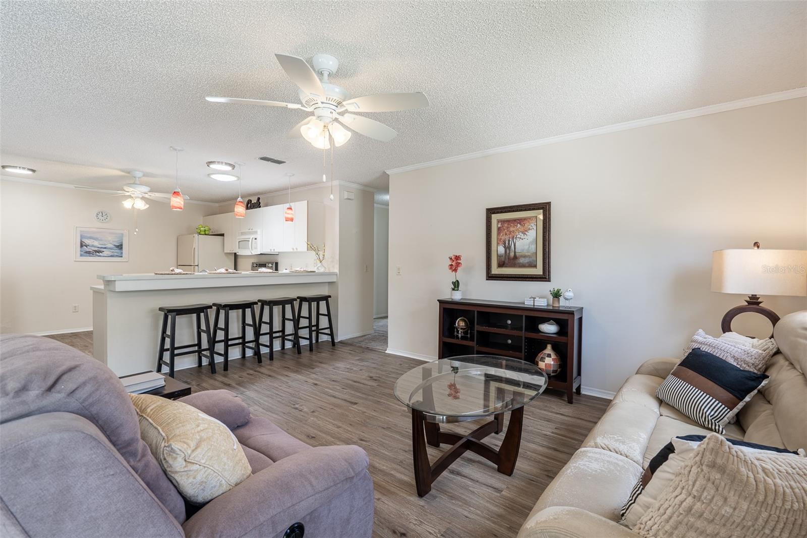 3273 RIVERTON RD, THE VILLAGES, FL, 32162