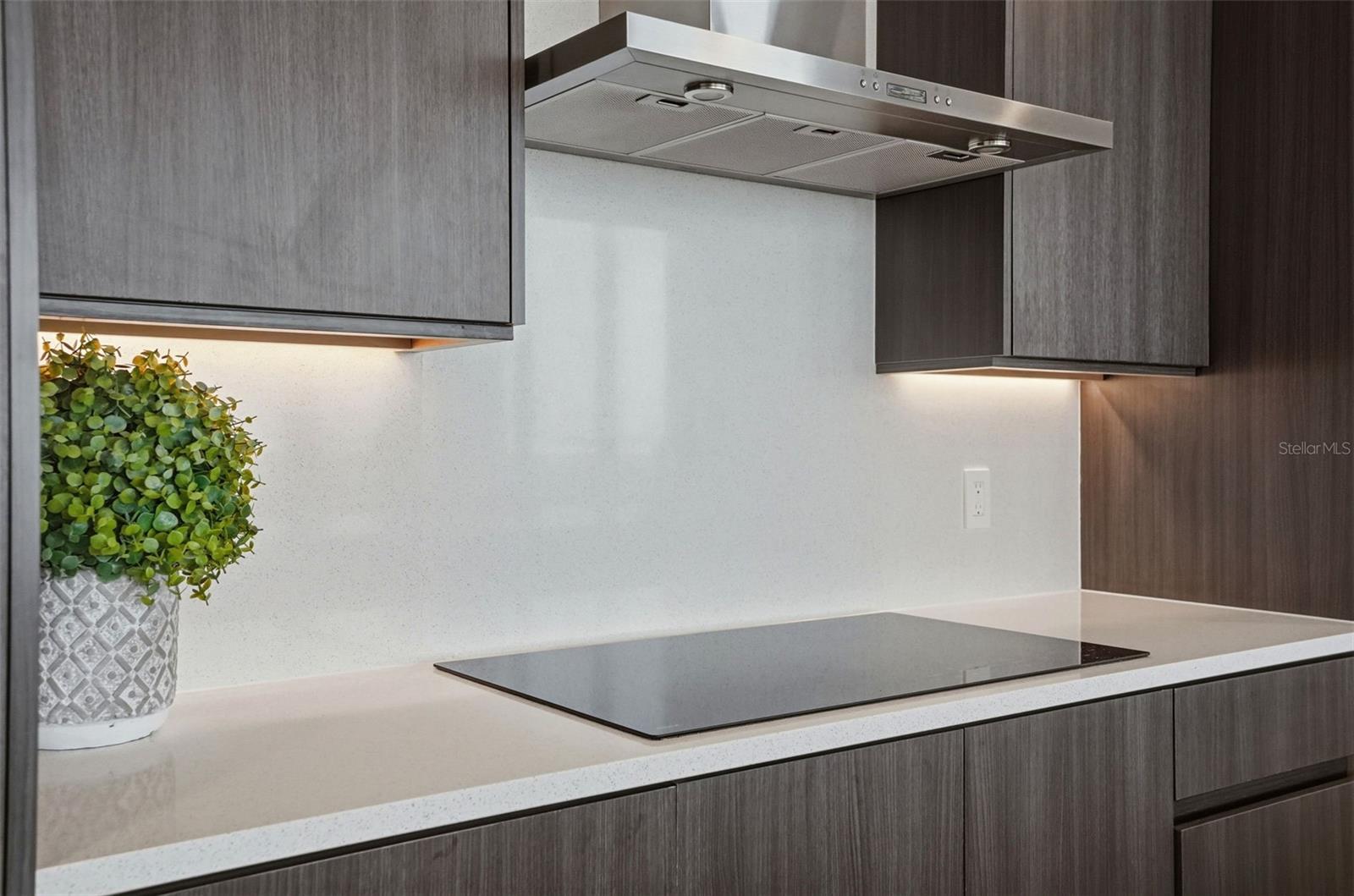 5120 MARINA WAY #4408, TAMPA, FL, 33611