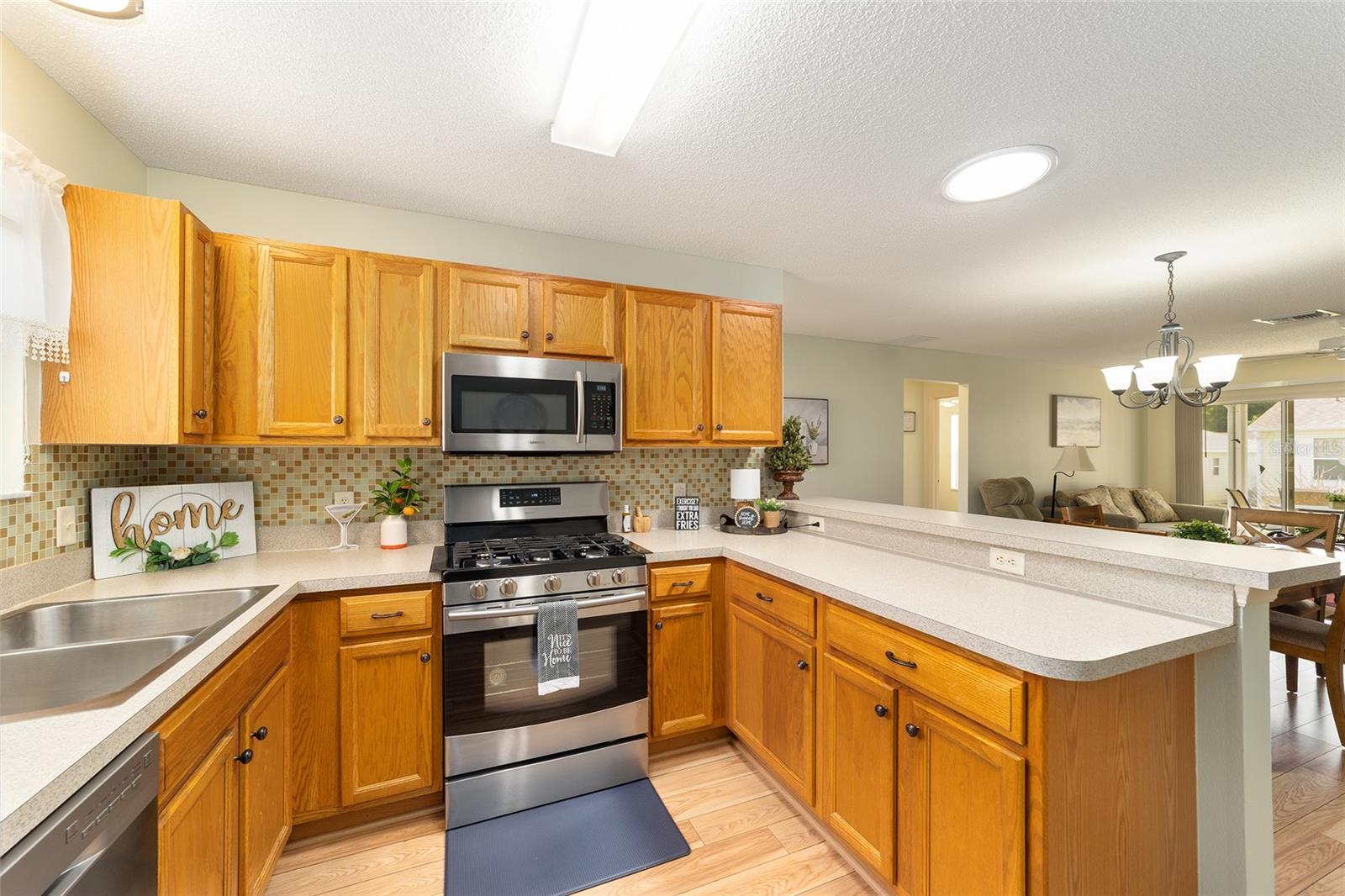 17040 SE 96TH CHAPELWOOD CIR, THE VILLAGES, FL, 32162