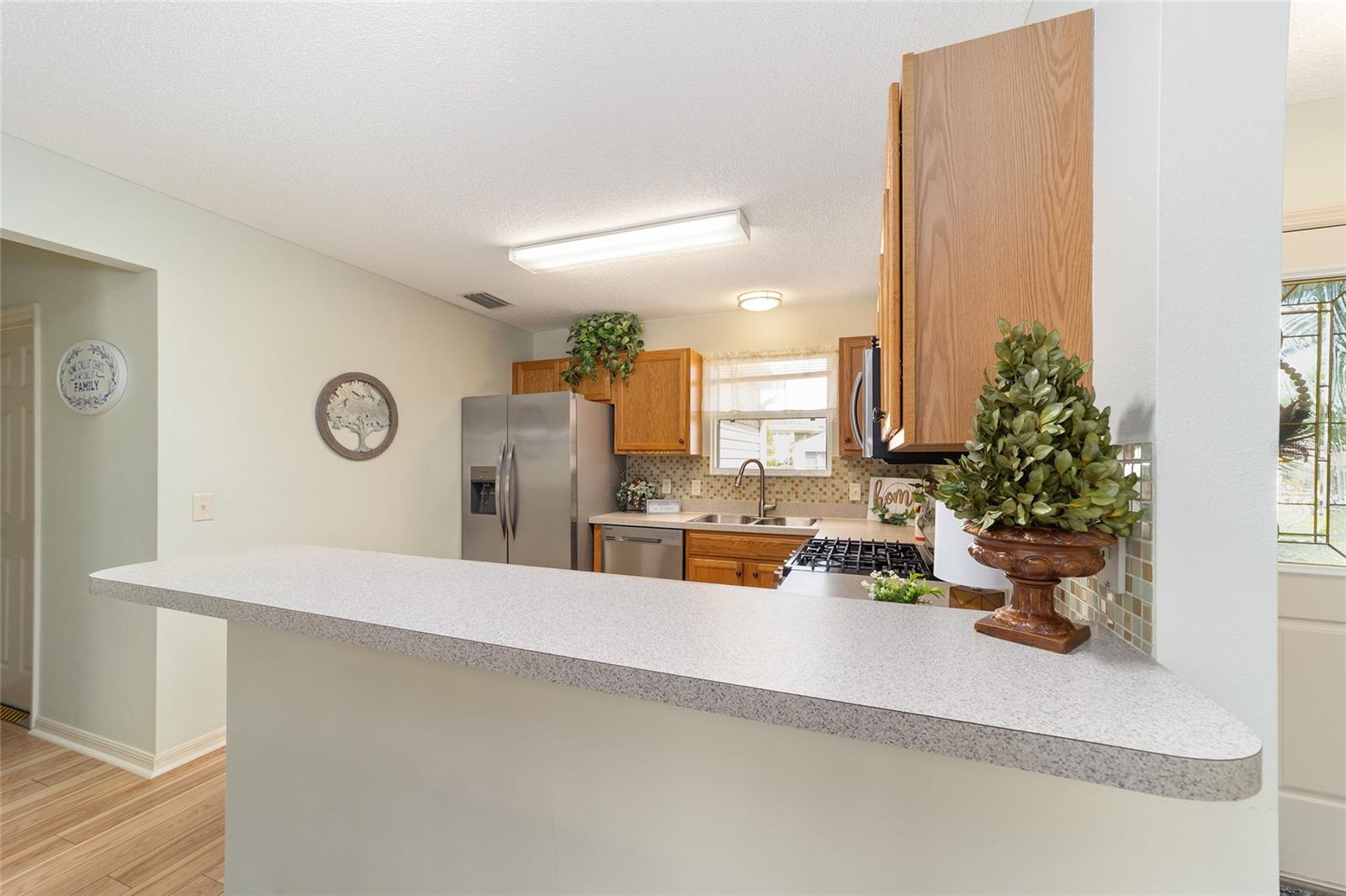 17040 SE 96TH CHAPELWOOD CIR, THE VILLAGES, FL, 32162
