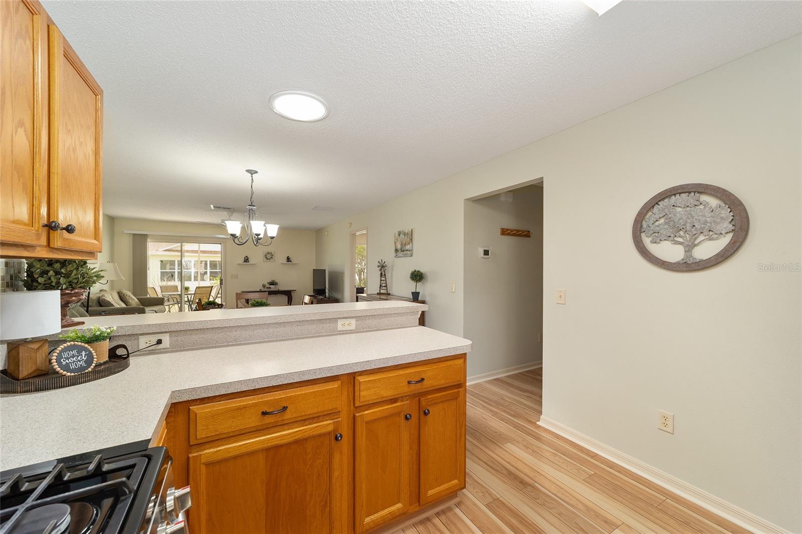17040 SE 96TH CHAPELWOOD CIR, THE VILLAGES, FL, 32162