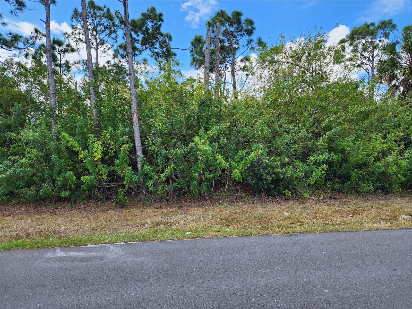 10421 REIMS AVE, ENGLEWOOD, FL, 34224
