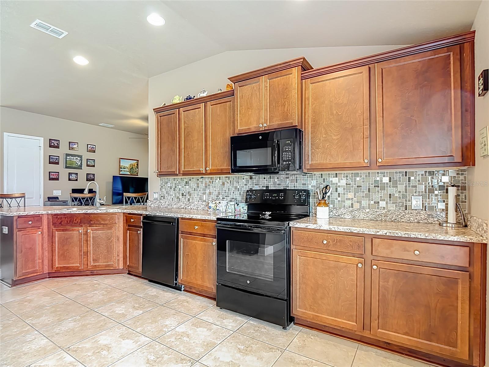 1170 LEGATTO LOOP, DUNDEE, FL, 33838