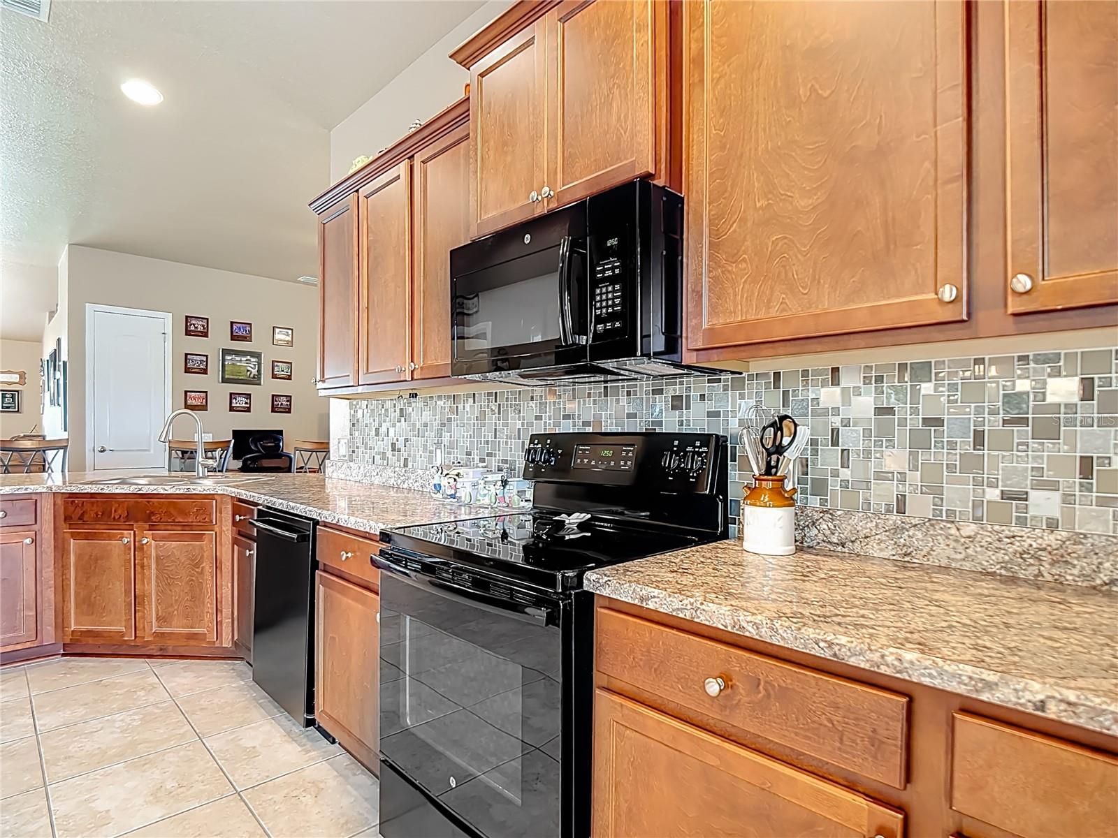 1170 LEGATTO LOOP, DUNDEE, FL, 33838
