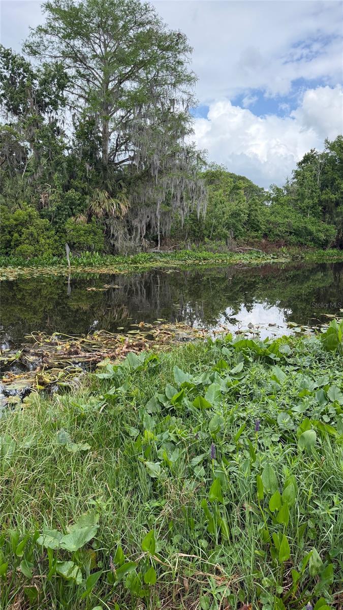 634 MISTI DR, LEESBURG, FL, 34788