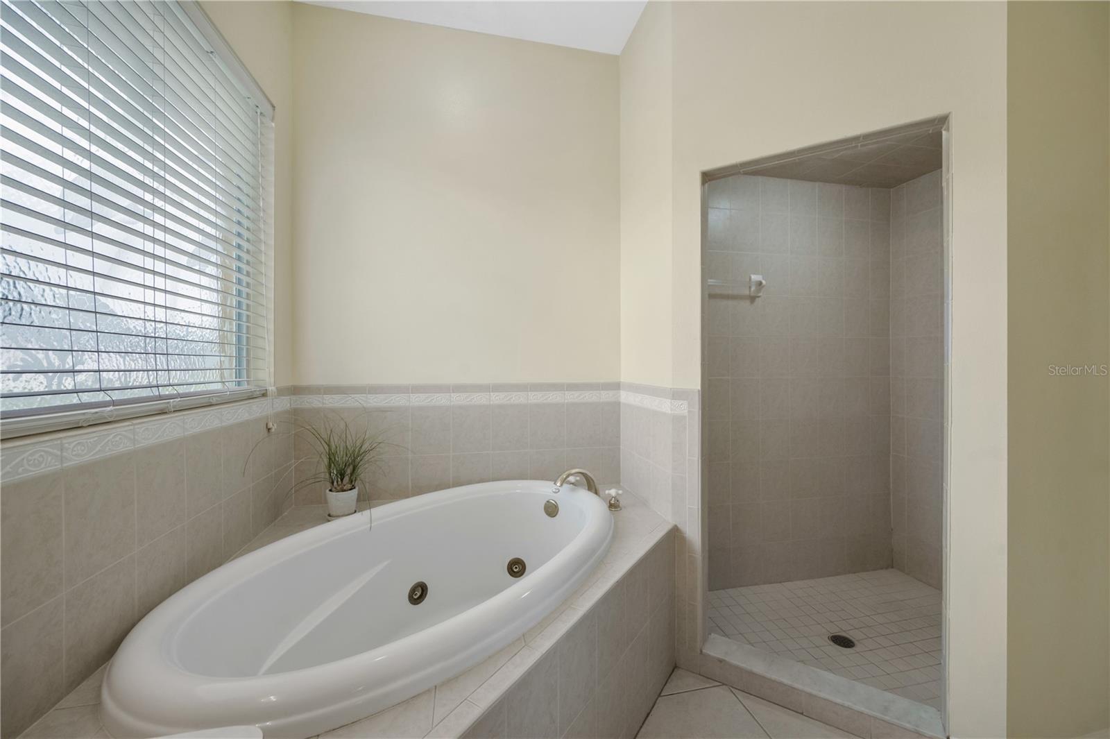 Primary en-suite bath with garden tub & separate shower