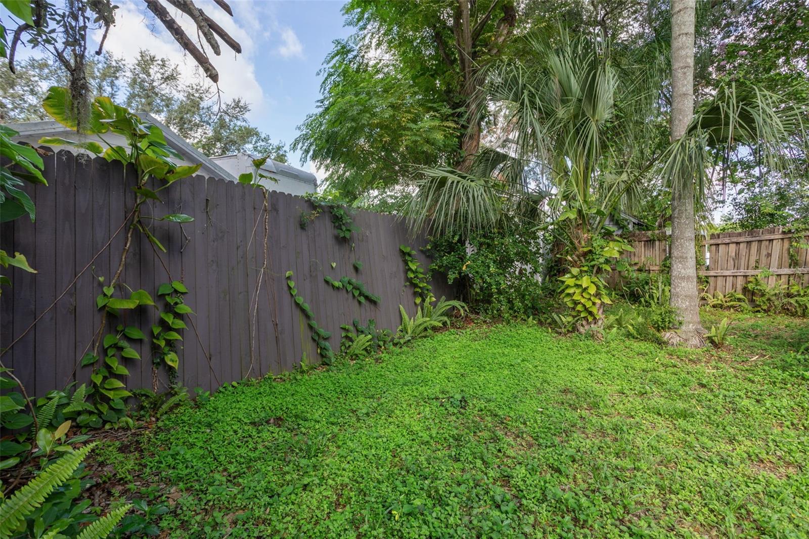 8006 N TEMPLE PL, TAMPA, FL, 33617