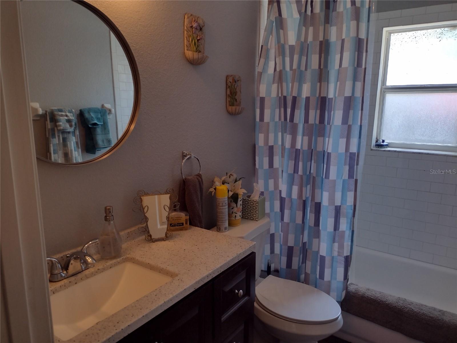 1523 GRANITE STATE CT, MOUNT DORA, FL, 32757