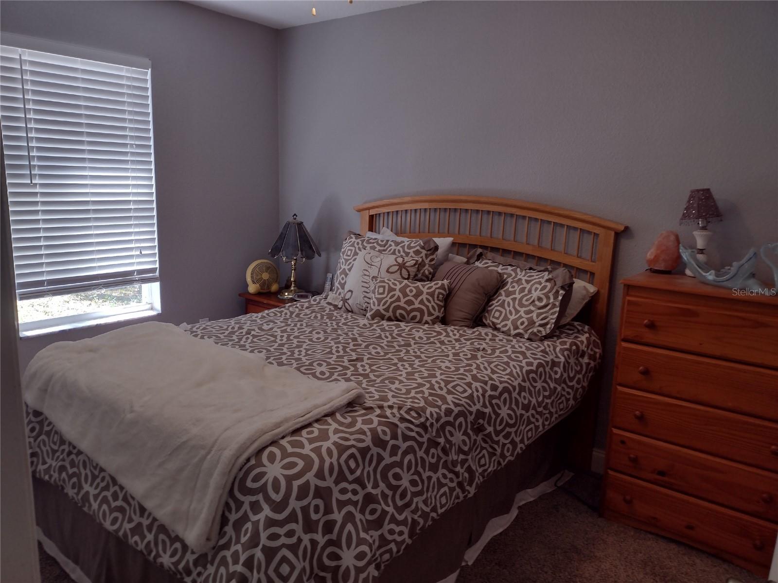1523 GRANITE STATE CT, MOUNT DORA, FL, 32757
