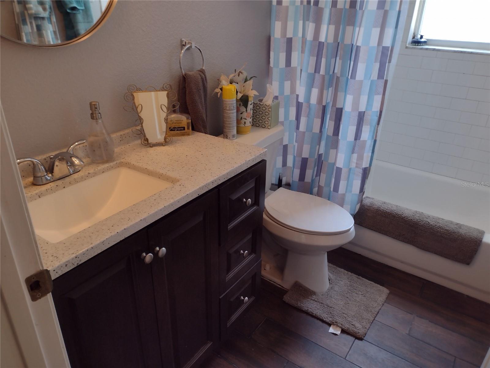 1523 GRANITE STATE CT, MOUNT DORA, FL, 32757