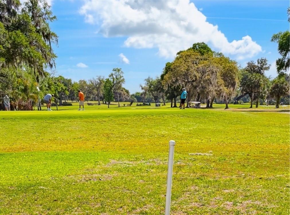 5 BOBWHITE XING, WILDWOOD, FL, 34785
