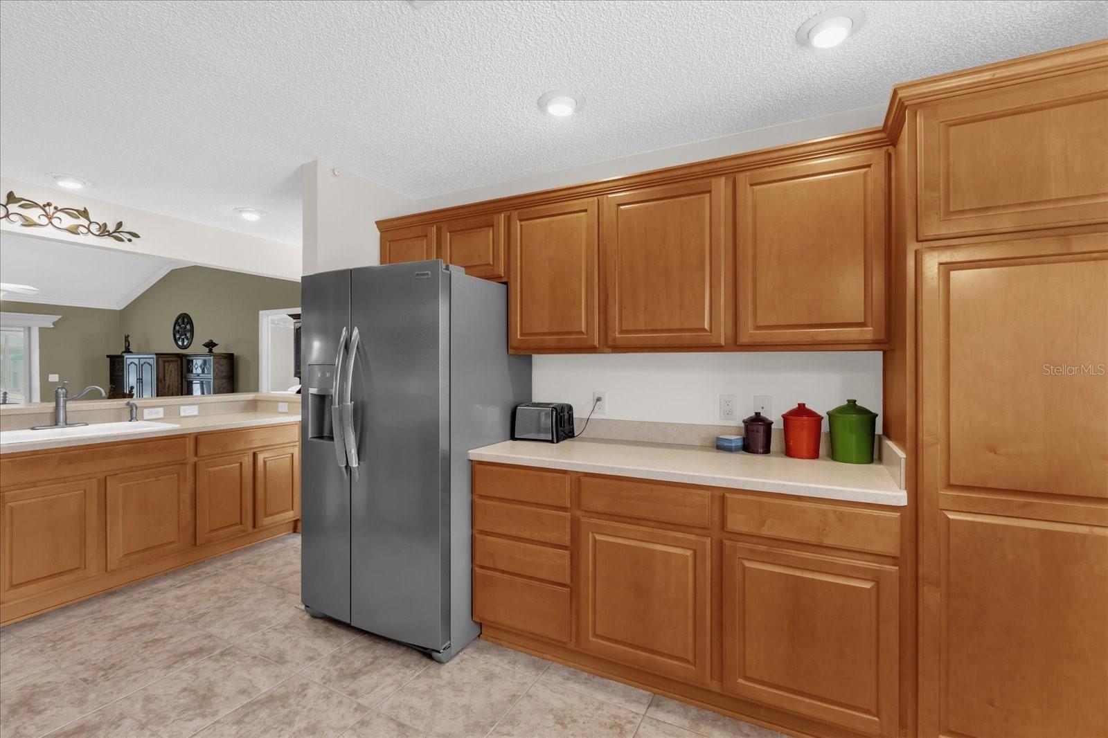 1479 GEORGETOWN AVE, THE VILLAGES, FL, 32162