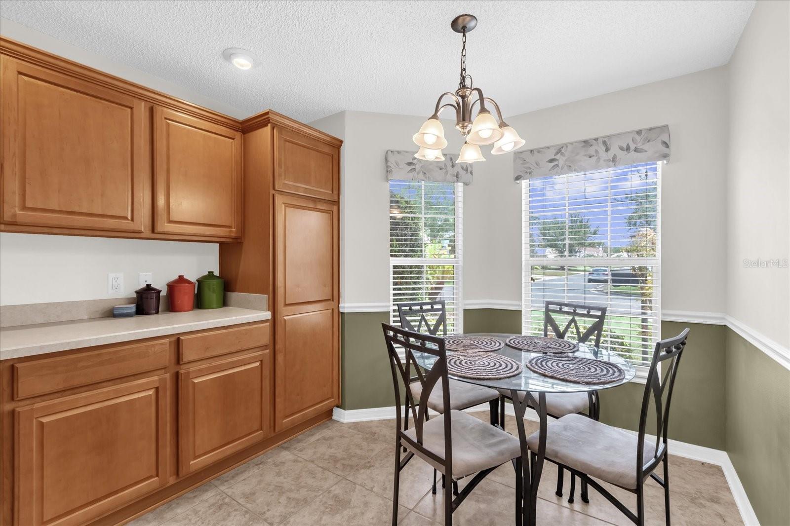 1479 GEORGETOWN AVE, THE VILLAGES, FL, 32162