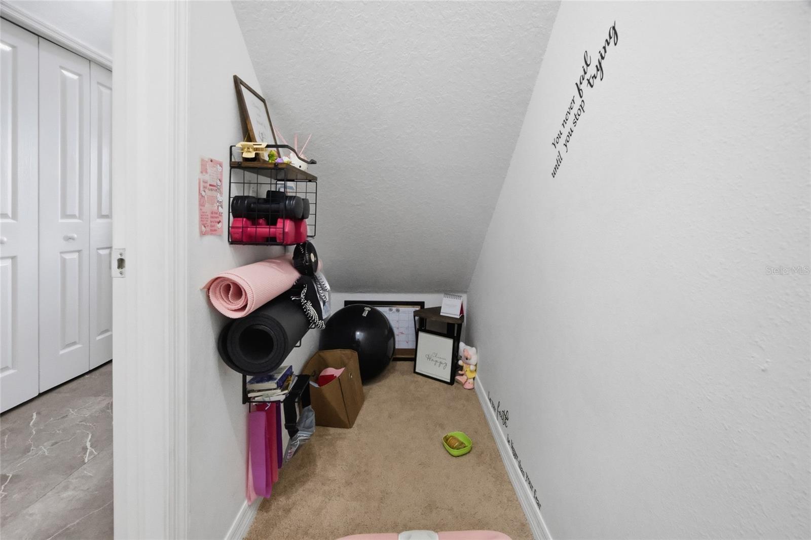 24927 PORTOFINO DR, LUTZ, FL, 33559