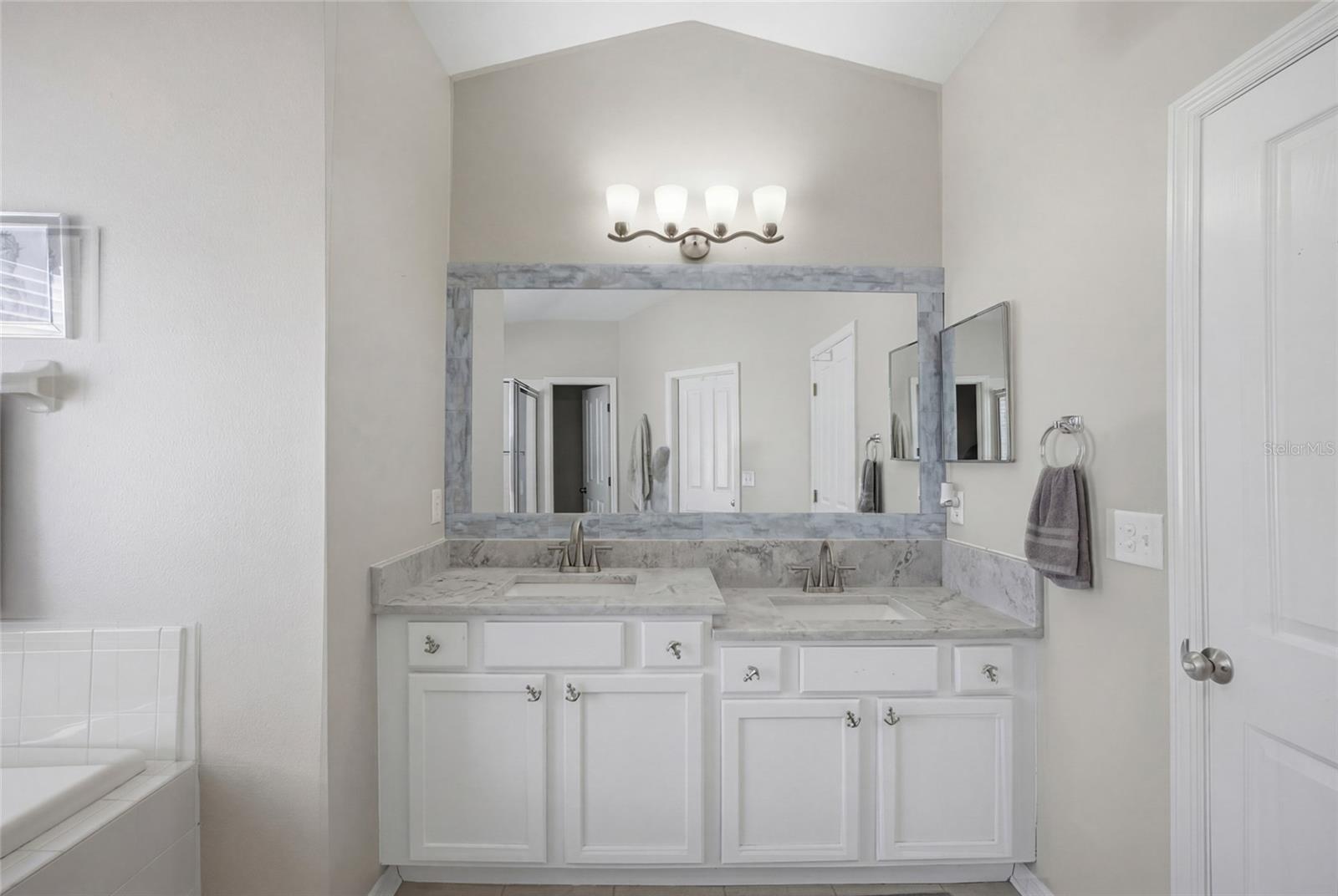 24927 PORTOFINO DR, LUTZ, FL, 33559