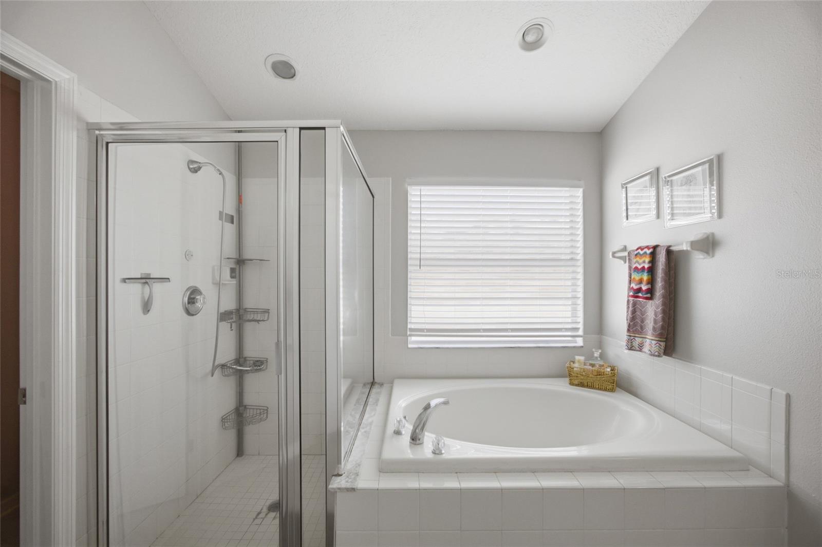 24927 PORTOFINO DR, LUTZ, FL, 33559