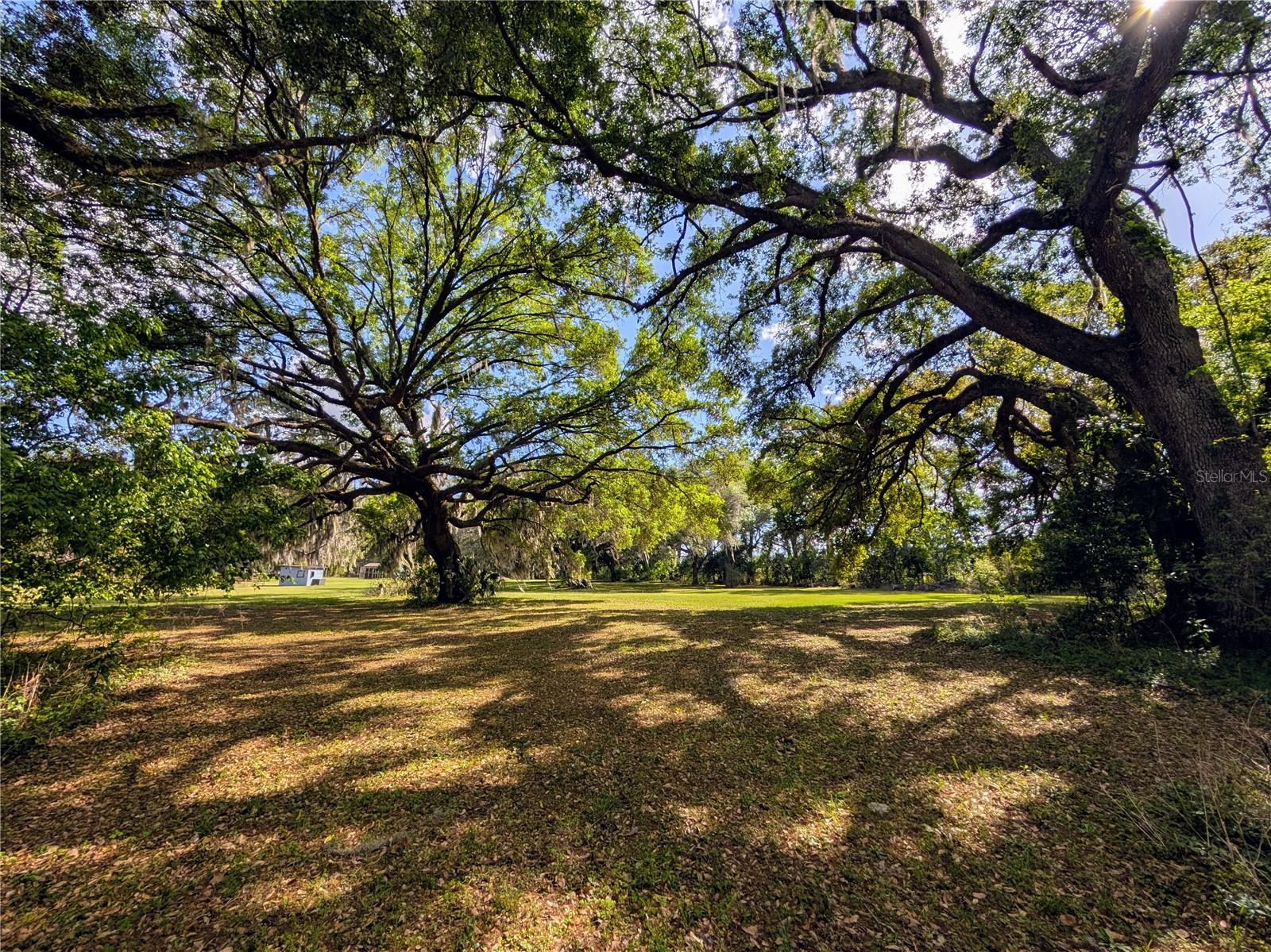 21840 NW 218TH TER, HIGH SPRINGS, FL, 32643