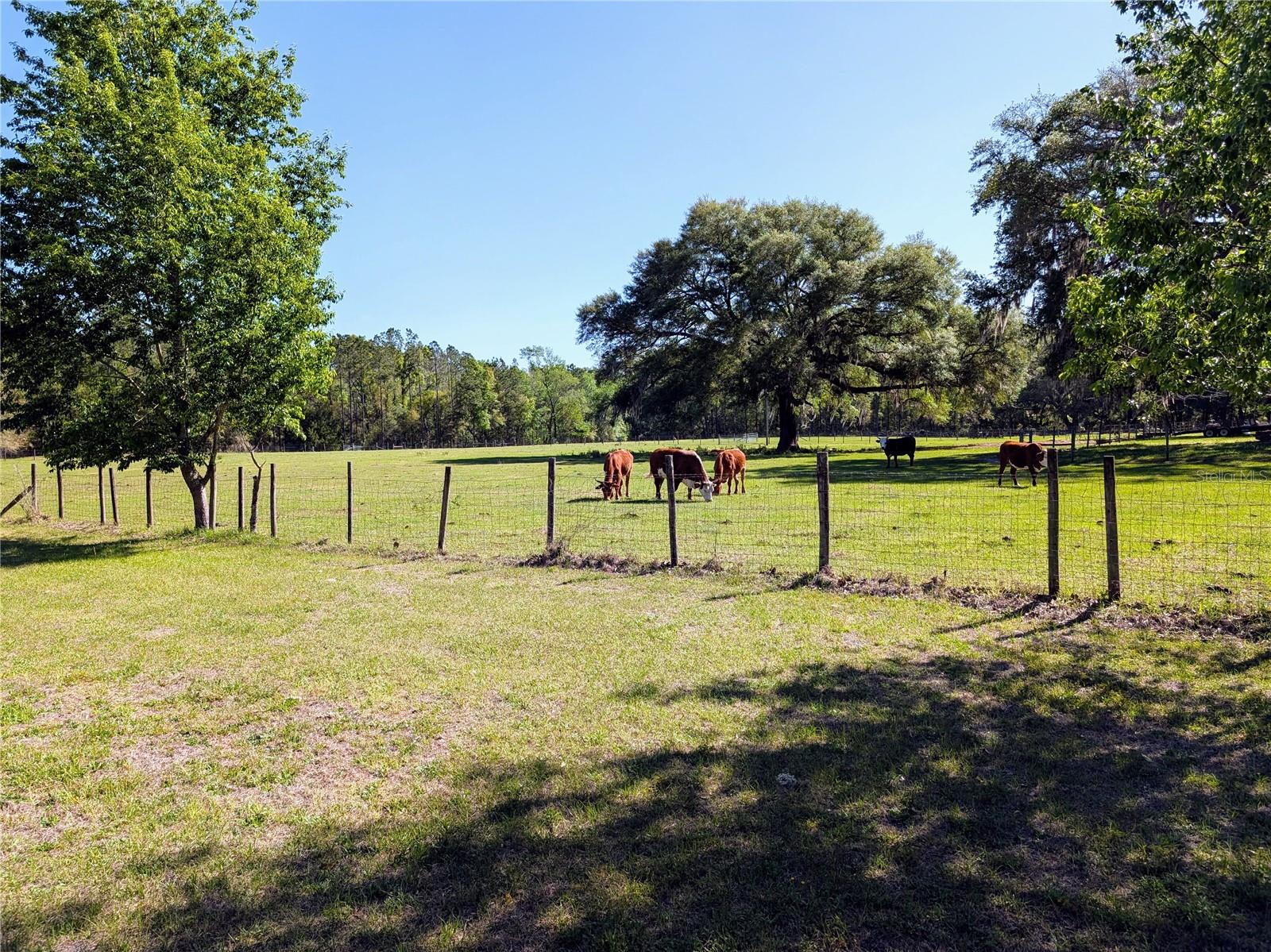 21840 NW 218TH TER, HIGH SPRINGS, FL, 32643