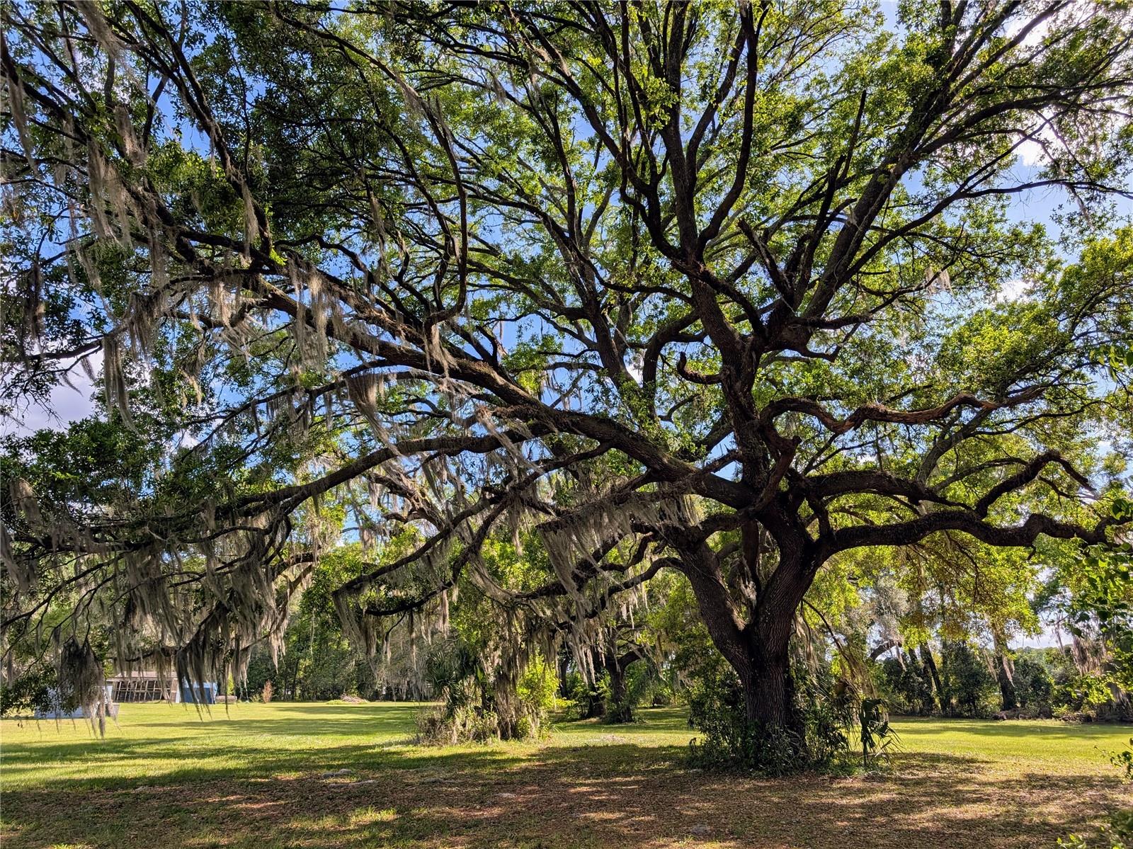 21840 NW 218TH TER, HIGH SPRINGS, FL, 32643